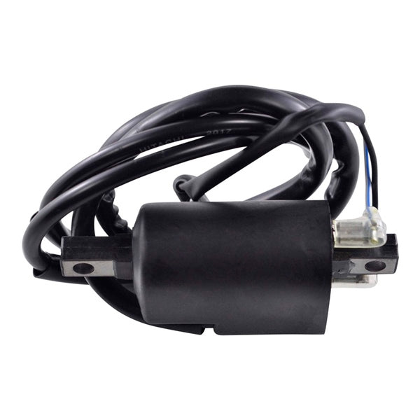 Kimpex HD Ignition Coil (286863)