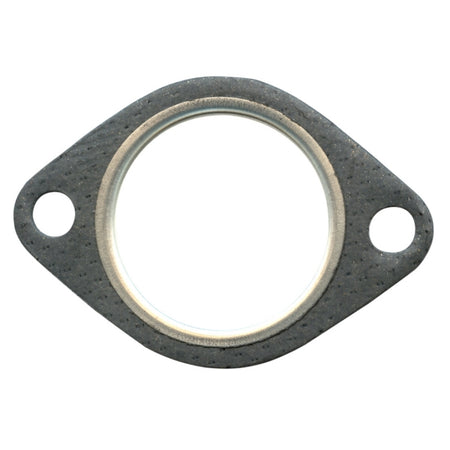 VertexWinderosa Exhaust Gasket (287428)