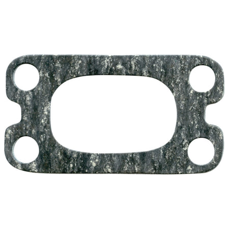VertexWinderosa Exhaust Gasket (287432)