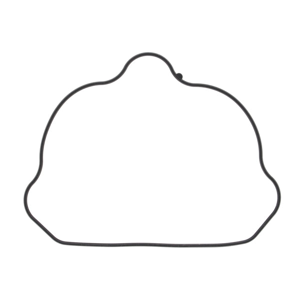 VertexWinderosa Valve Cover Gasket (287903)