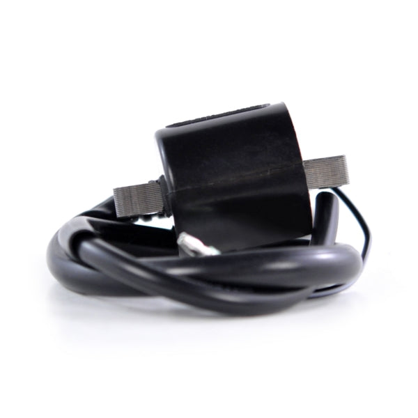 Kimpex HD Ignition Coil (289058)