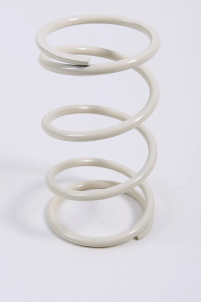 EPI Secondary Clutch Spring (Driven) (294524)