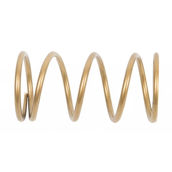 EPI Secondary Clutch Spring (Driven) (294574)