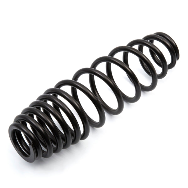 EPI Suspension Spring (294731)