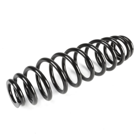 EPI Suspension Spring (294732)