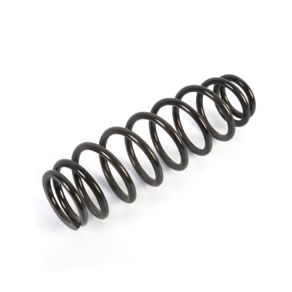 EPI Suspension Spring (294737)