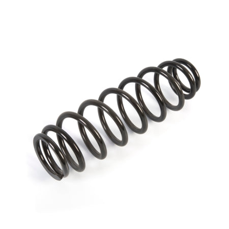 EPI Suspension Spring (294737)