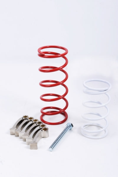 EPI Clutch Kit - Sport Utility (295130)