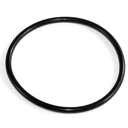 EPI Hub Bearing Gasket (295376)