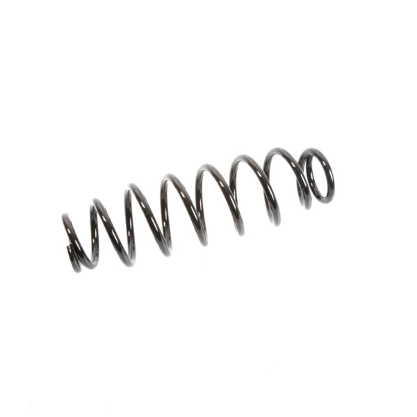 EPI Suspension Spring (295770)