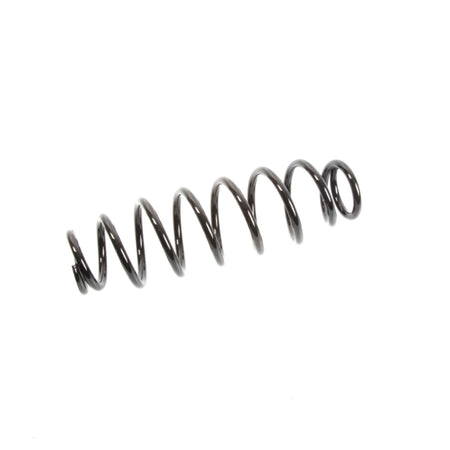 EPI Suspension Spring (295770)