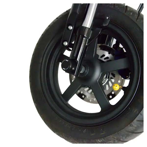 Protecteur de fourche R&amp;G (FP0102BK)