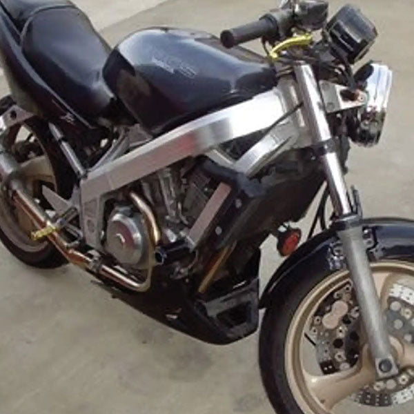 PROTECTION ANTI-CRASEMENT R&amp;G (CP0109BL)