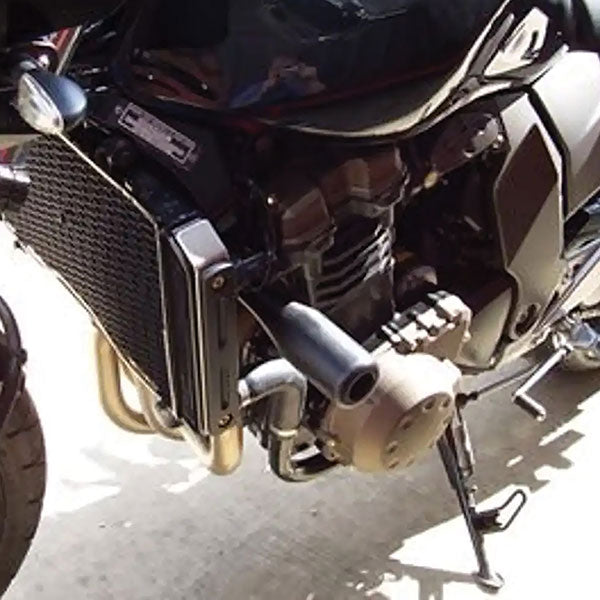 PROTECTION ANTI-CRASEMENT R&amp;G (CP0121BL)