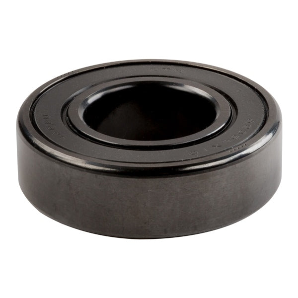 NTN Black Ice Ball Bearings (301195)