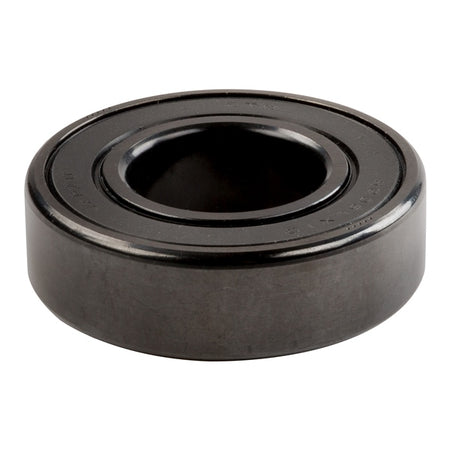 NTN Black Ice Ball Bearings (301195)