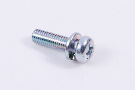 Mikuni Carburetor Bowl Screw (301283)