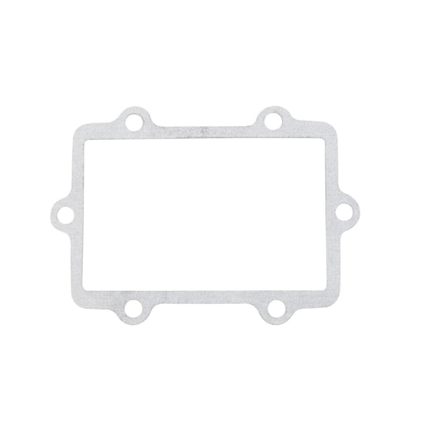 VertexWinderosa Admission Reed Gasket (301671)