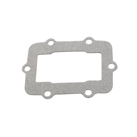 VertexWinderosa Admission Reed Gasket (301674)