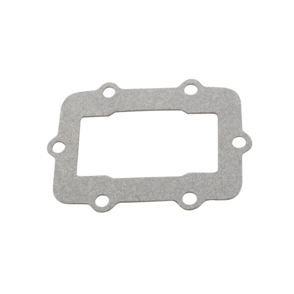 VertexWinderosa Admission Reed Gasket (301674)