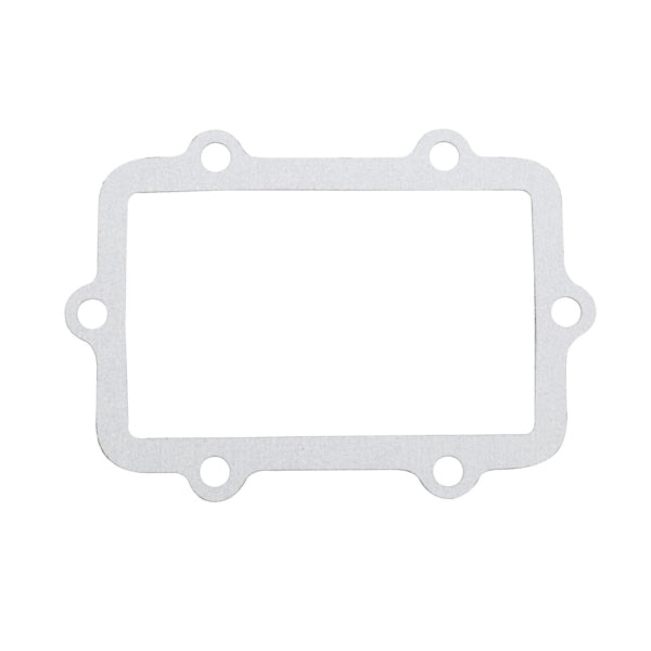 VertexWinderosa Admission Reed Gasket (301677)