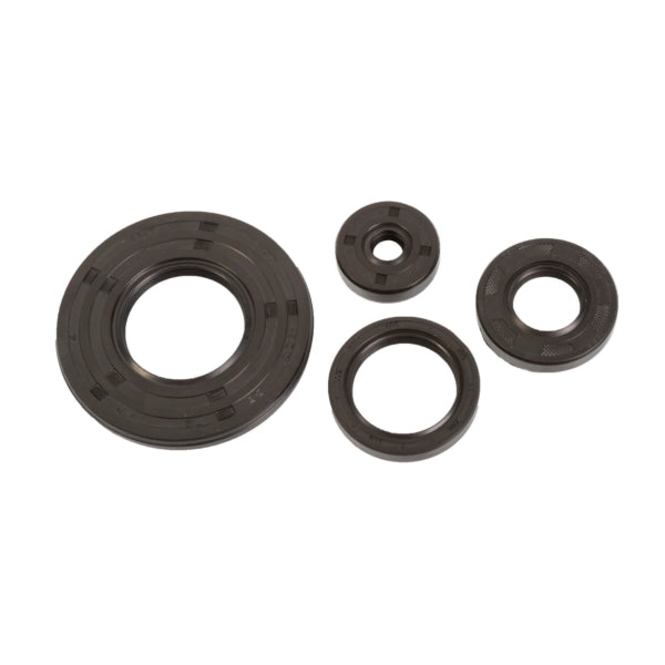 VertexWinderosa Crankcase Oil Seal Sets (304494)