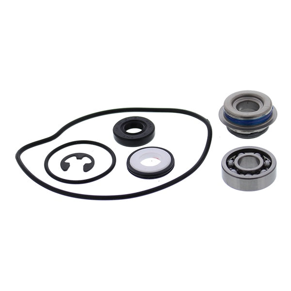 VertexWinderosa Water Pump Repair Kit (304677)