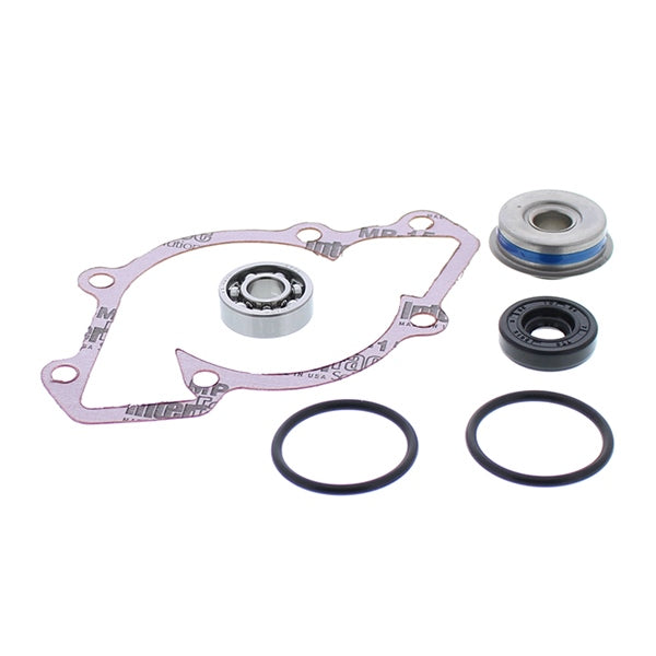 VertexWinderosa Water Pump Repair Kit (304679)