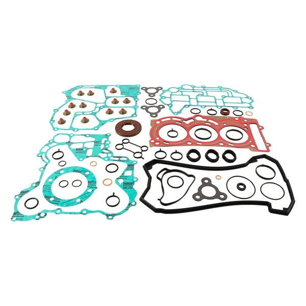 VertexWinderosa Professional Complete Gasket Sets with Oil Seals (304796)