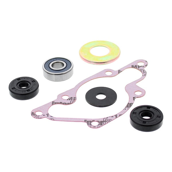 VertexWinderosa Water Pump Repair Kit (304825)