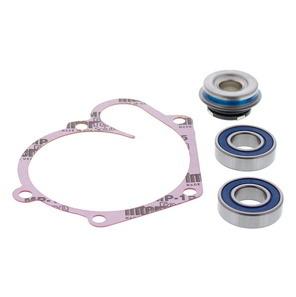 VertexWinderosa Water Pump Repair Kit (304828)
