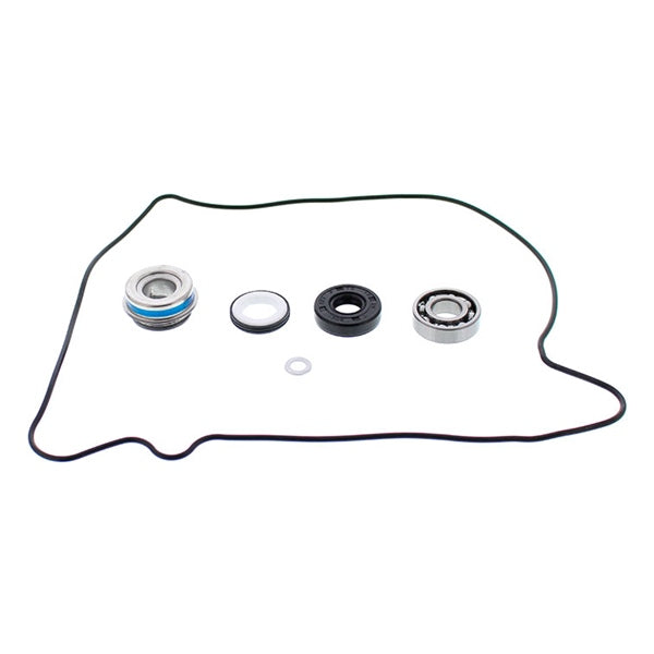 VertexWinderosa Water Pump Repair Kit (304829)