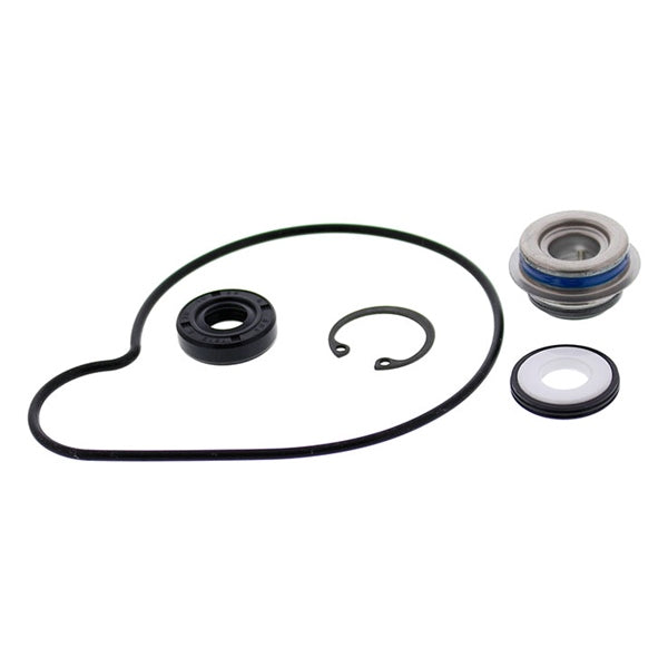 VertexWinderosa Water Pump Repair Kit (304831)