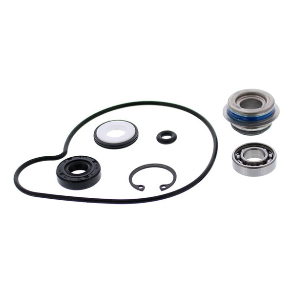 VertexWinderosa Water Pump Repair Kit (304832)