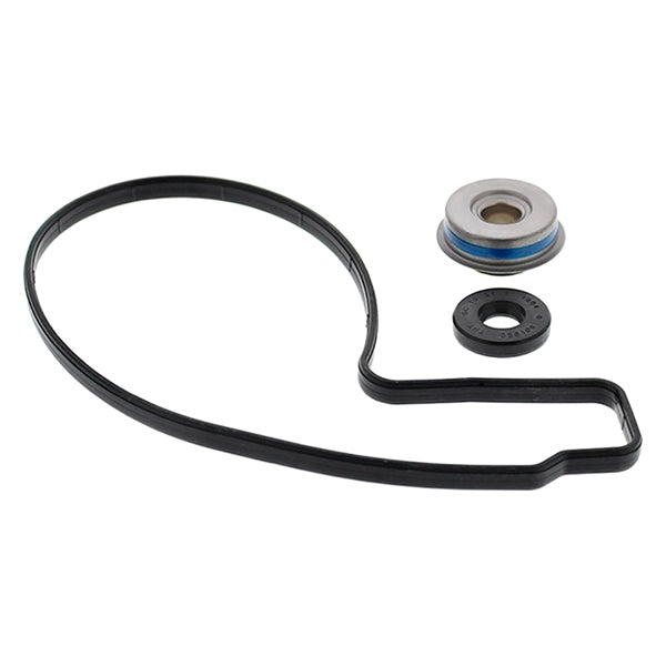 VertexWinderosa Water Pump Repair Kit (304917)