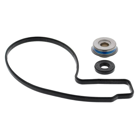 VertexWinderosa Water Pump Repair Kit (304917)