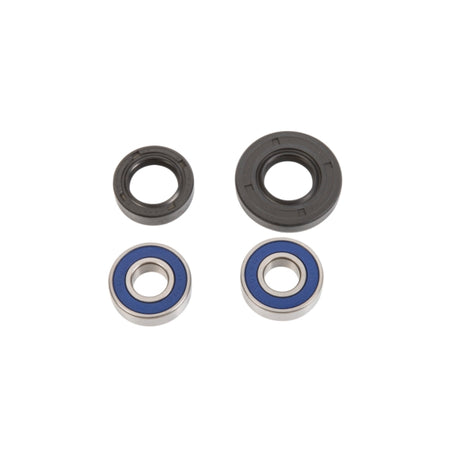 All Balls Wheel Bearing & Seal Kit (306351)