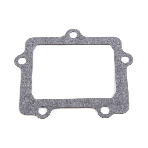 VForce3 Petal Gasket (317085)