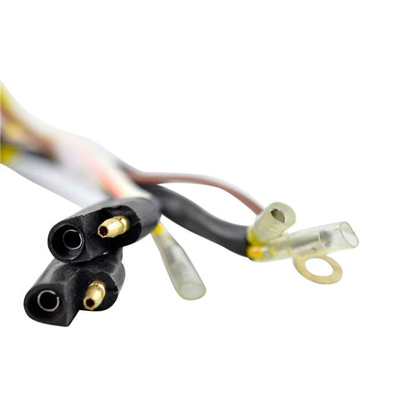 Kimpex HD Volant moteur et stator (345066)