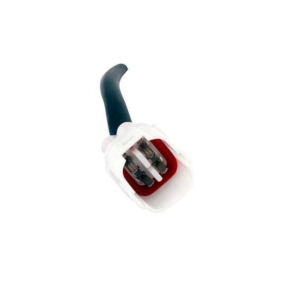 Kimpex HD Stator (345255)