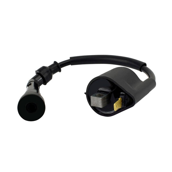 Kimpex HD Ignition Coil & Spark Plug Cap (345309)