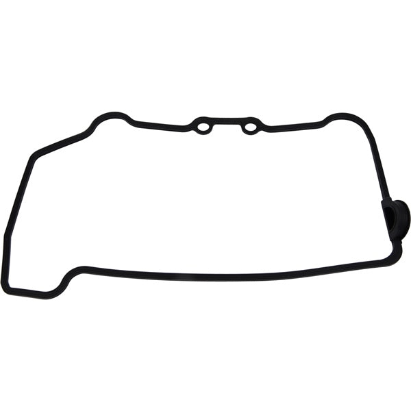 VertexWinderosa Valve Cover Gasket (347262)