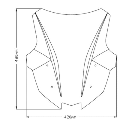 Puig Z-Racing Windshield (361067)