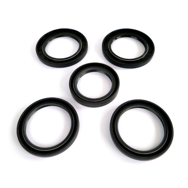 EPI Differential Seal Kit (394317)