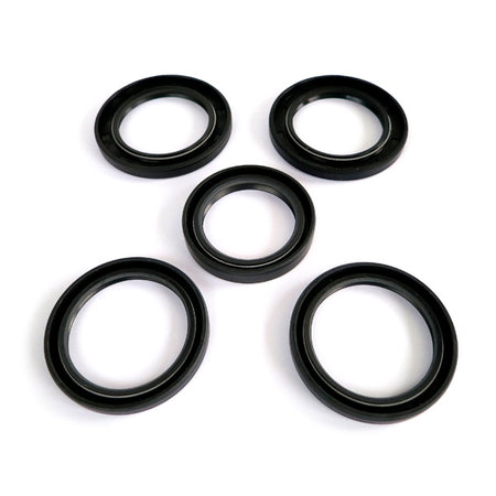 EPI Differential Seal Kit (394317)