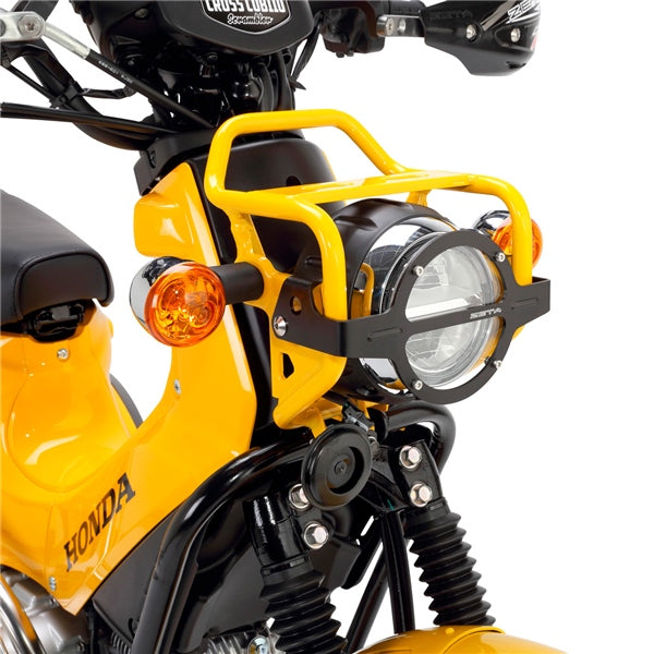 DRC/ZETA/UNIT Head Light Guard (428694)