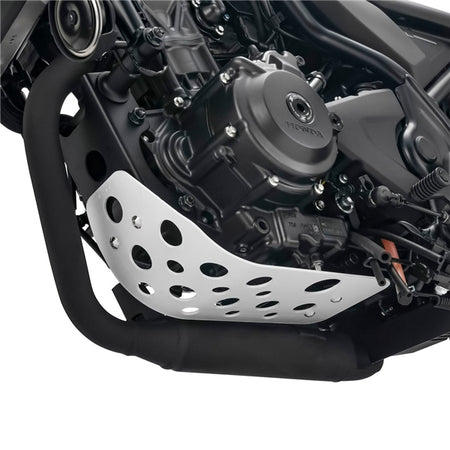 DRC/ZETA/UNIT Engine Protection Under Guard (428714)