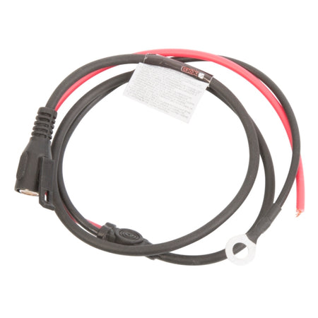 CKX Electric Double Lens Power Cord without Inline Fuse (504922)