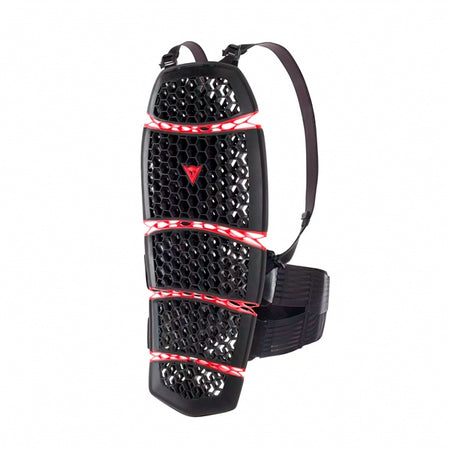 DAINESE Pro-Armor Back Protector 2.0 (615172)
