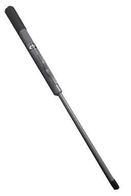 Greenfield Beach Spike (706439)